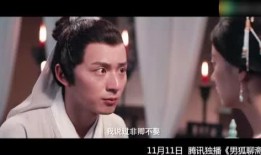 狐狸精网在线观看视频,在线观看视频的奇幻之旅