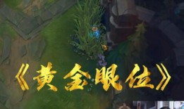 杰克螳螂爆料视频大全下载,揭秘幕后真相与精彩瞬间