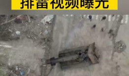 亚速钢铁厂爆料视频播放,揭秘战火中的真实景象