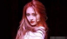 周洁琼圈内爆料视频大全,揭秘娱乐圈不为人知的一面