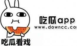 网红吃瓜黑料入口,揭秘娱乐圈背后的真相与争议