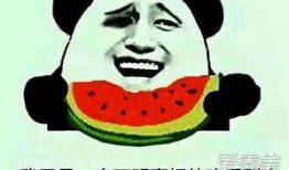吃瓜群众娱乐娱乐,吃瓜群众狂欢时刻