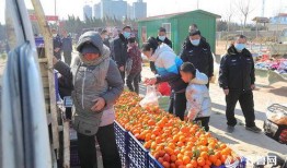 安丘洋柿子爆料视频