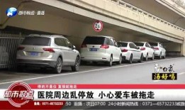 河南频道爆料新闻,揭秘某重大事件背后真相