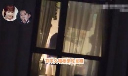 杨紫娱记爆料视频大全,揭秘娱乐圈幕后真相