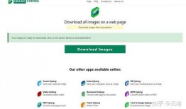 爆料视频小说下载网站免费,揭秘热门爆料视频网站背后的免费下载秘密