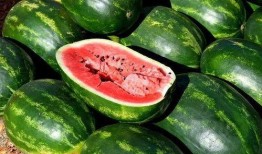 吃瓜娱乐素材,吃瓜群众揭秘明星幕后故事