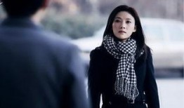 海归海归在线观看,海外归国精英的奋斗与抉择