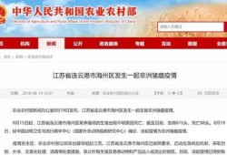靖江新闻爆料事件最新消息,最新进展及影响揭秘
