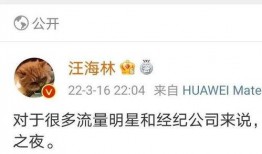 娱乐圈爆料怎么看不了,揭秘幕后真相，揭秘无法观看的背后原因