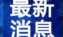 娱乐爆料华哥视频大全最新,最新视频大全大揭秘！