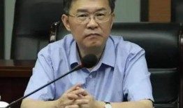 湖南副主任爆料案件最新,揭开权力滥用黑幕