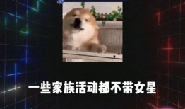吃瓜群众娱乐娱乐,吃瓜群众狂欢时刻