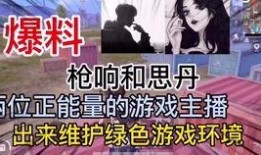 缅甸主播爆料视频在线观看,揭秘幕后真相，在线观看引发热议