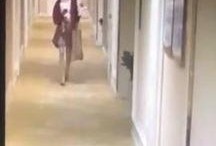 网友爆料朝阳酒店视频播放,揭秘酒店内部惊人一幕