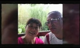 柳  在线观看,穿越时空的古典韵味