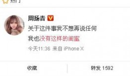 山东爆料最新新闻消息今天,聚焦重大事件背后的真相与影响