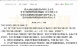 爆料村镇银行事件视频完整版,真相与反思