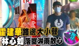 大仙爆料吵架视频大全下载,吵架视频大全下载，揭秘网络热议瞬间