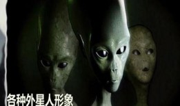 外星人爆料地球秘密视频,外星人视角下的神秘世界