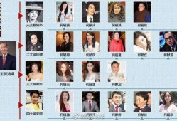 荣大夫爆料何鸿燊视频播放,一场豪门恩怨的真相大揭秘