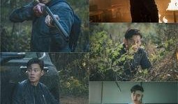 圈套 李瑞镇在线观看