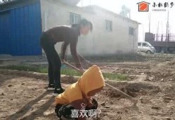 农村小林爆料视频大全集,揭秘乡村生活百态视频大全集