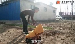 农村小林爆料视频大全集,揭秘乡村生活百态视频大全集