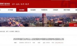 爆料村镇银行事件视频完整版,真相与反思