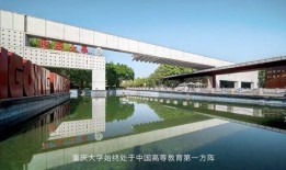 重庆新学校爆料视频最新,校园风采与教育理念首次曝光