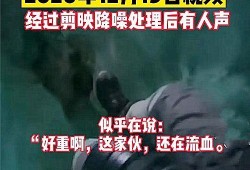都市爆料诈骗事件视频播放,诈骗事件视频播放背后的真相