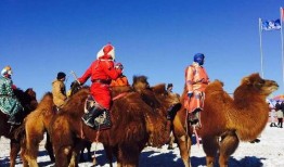 红色骆驼在线观看,在线重温革命岁月的传奇征程