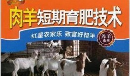 育肥羊爆料视频最新网站,最新爆料视频网站深度解析