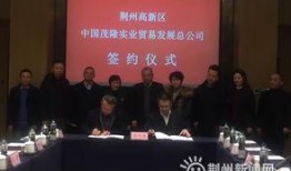 荆州爆料最新新闻消息,揭秘重大事件背后真相