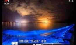 紫色海下集在线观看,紫色海下集在线观看之旅