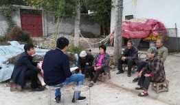 镇平爆料传销事件最新,揭秘新型传销组织的猖獗与打击行动