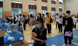 红港小镇爆料最新消息,揭秘小镇发展新动态与未来规划