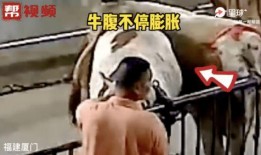 橙衣男子爆料视频播放,揭秘事件背后真相