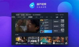 水星新闻爆料视频下载安装,轻松获取独家资讯