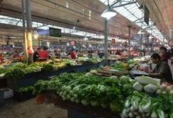 河南菜市场爆料视频播放,真实生活场景引发网友热议