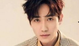 爆料娱乐圈的男明星,揭秘明星背后的故事与真相